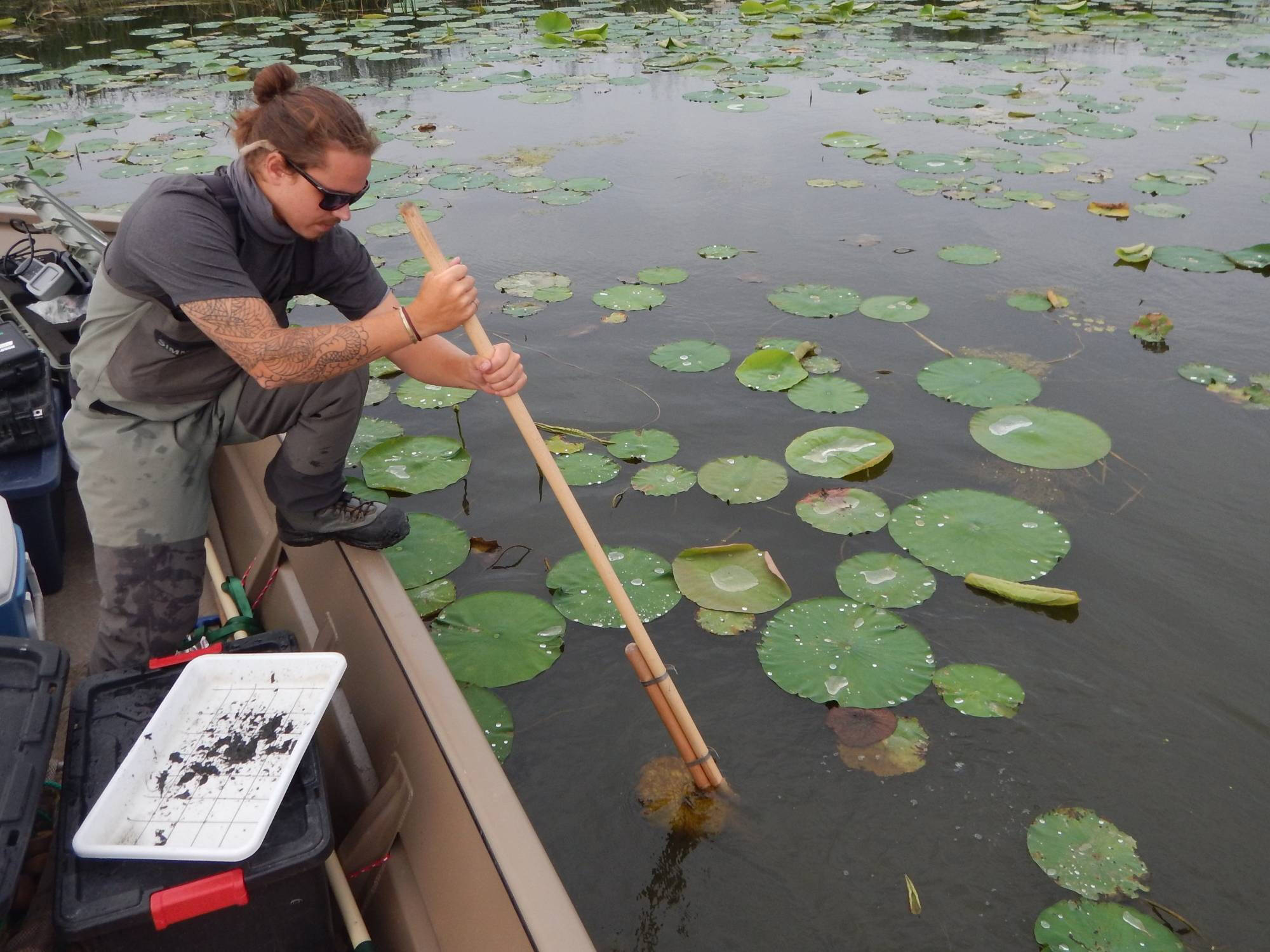 Zak Collins collects an invertebrate sample among lily pads from a jonboat.